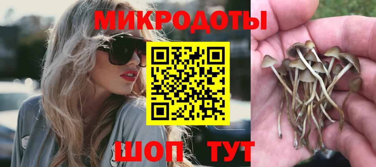 Галлюциногенные грибы мицелий  Галлюциногенные грибы Cubensis  Красногорск 